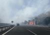 WATCH: Smoke bellows from Costa del Sol fire as A-7 motorway shuts down