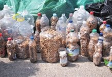 Volunteers remove more than 22,000 cigarette butts from Costa del Sol beach in Spain