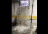 IN VIDEOS: Homes fill up with water as flooding rocks Marbella’s San Pedro