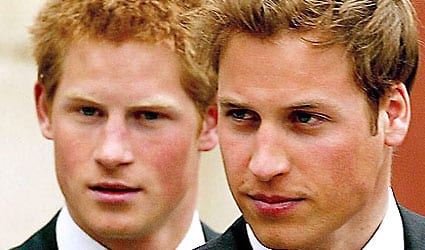 princes william and harry