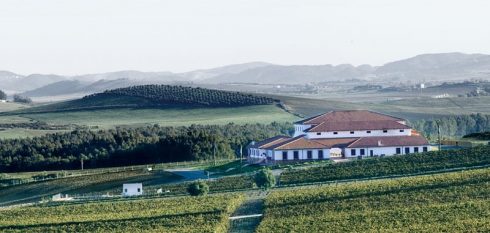 wine3