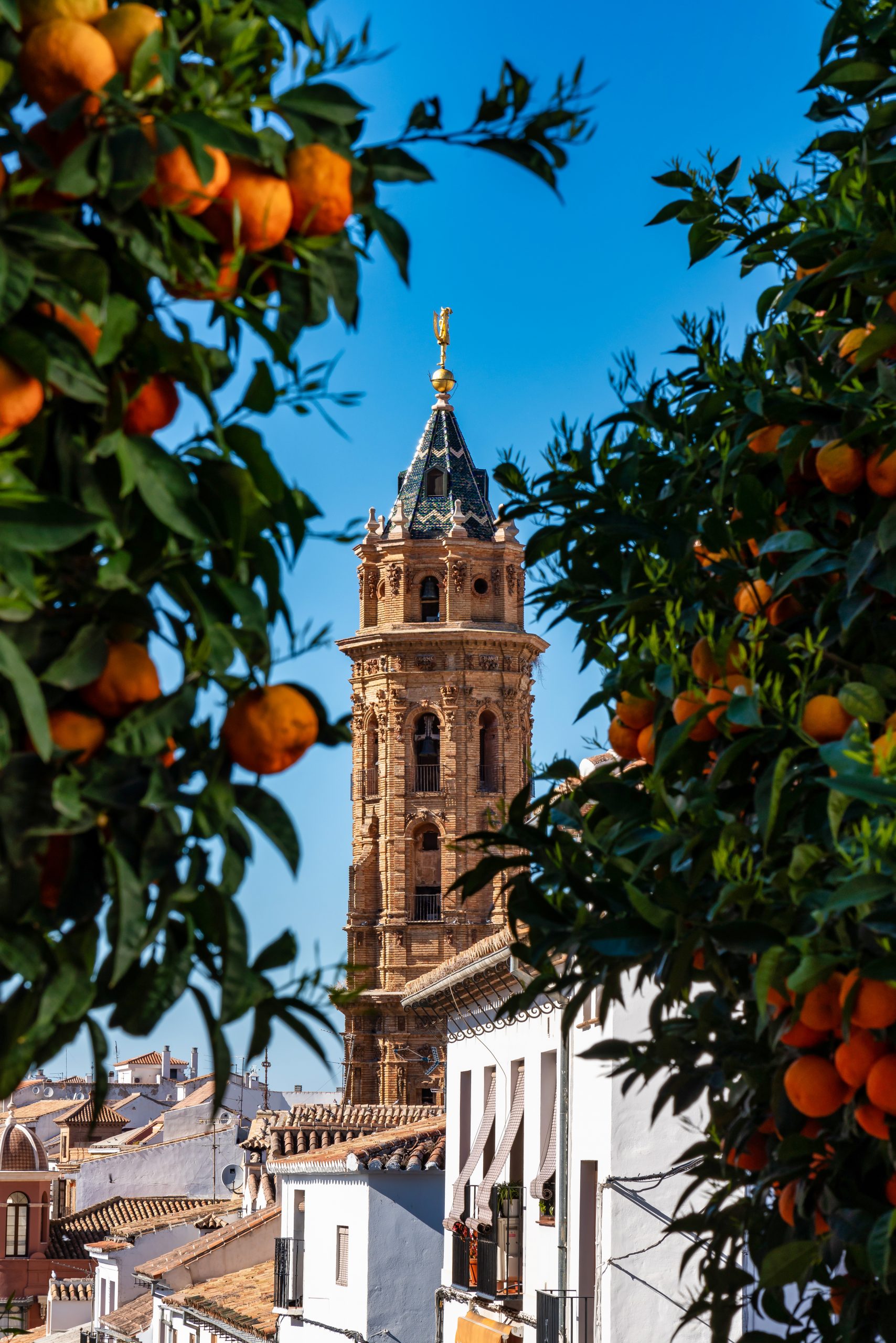 San Sebastian Church Tower In Antequera, Malaga Province, Andalusia, Spain