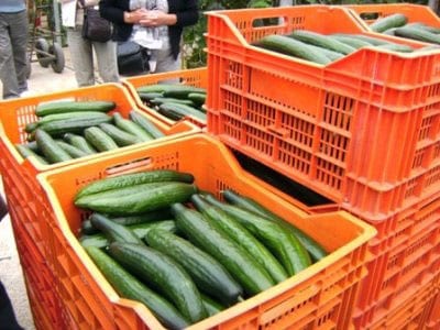 almeria cucumbers