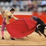 bullfight