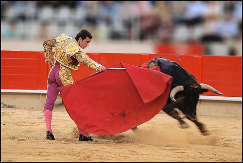 bullfight