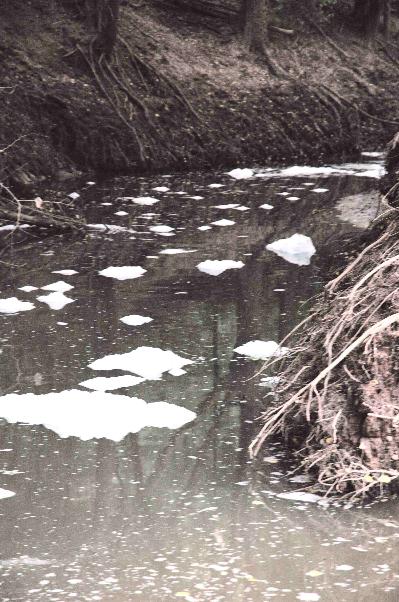 sewage problems in andalucia