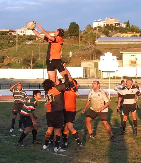 lineout