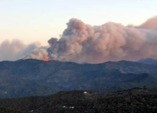 pujerra forest fire
