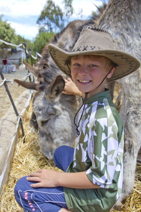 Boy saves donkey in sabinilla