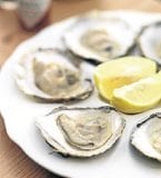 Oyster harvesting returns to Spain’s Santoña after red tide outbreak oysters