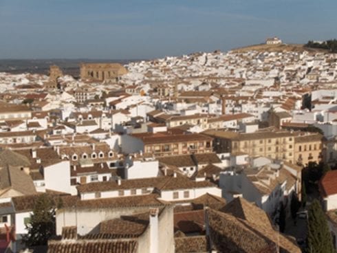 tree branch falls on four punters during tapas fair in Antequera