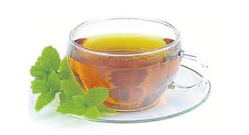 herbal remedies for upset stomach