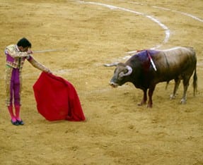 Bullfighting is back e