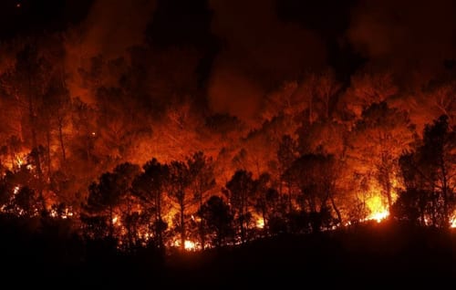 forest fires in andalucia destroy  hectares in summer