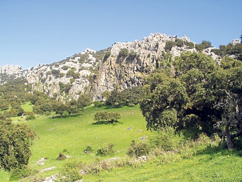 Walking near Ronda