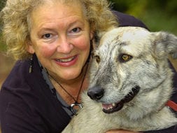 chris thornton nurse german shepherd dog back to health alicante spain