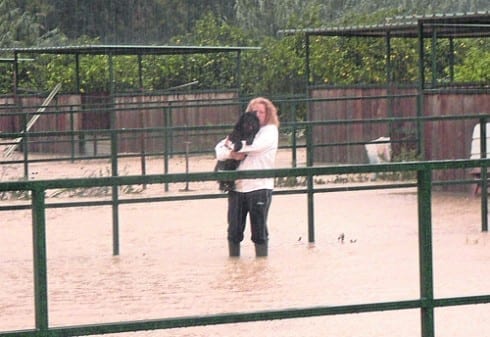 debbie norman rescues dogs in malaga floods