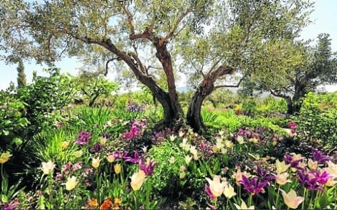 photo in spain wins royal horticultural society photo of the year