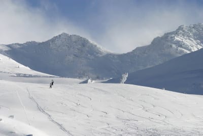 Sierra Nevada  e