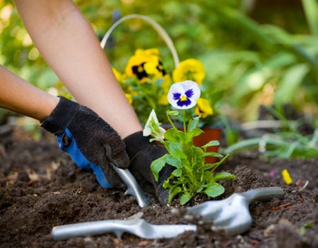 gardening image