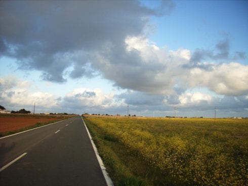 caminodepilar