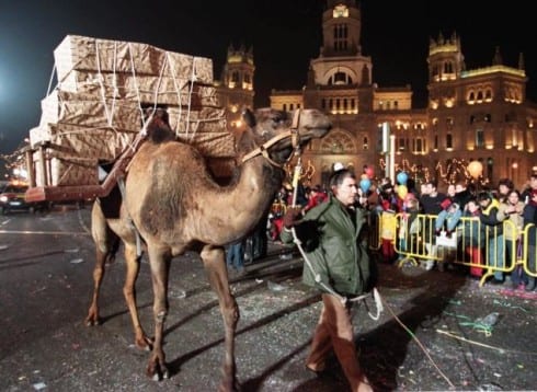 gran canaria three kings camels