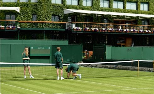 wimbledon tennis