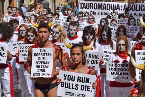 peta pamplona bull run protest