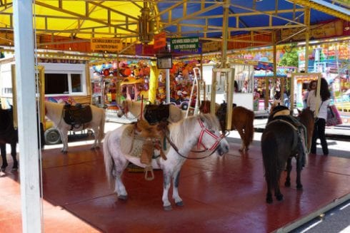 pony carousel  e