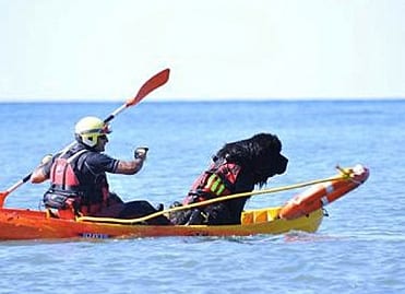 spain canine lifeguard