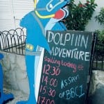 Dolphin Wars