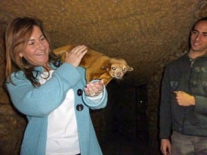 castellar zoo rebecca with honey bear