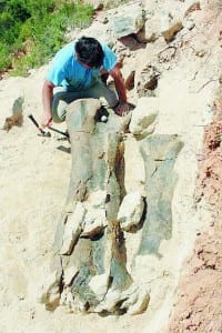 spain finds huge dinosaur femur