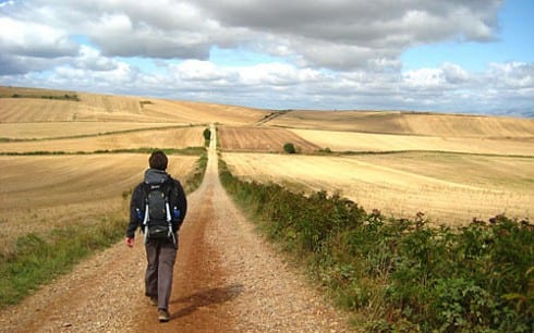 SHORT Camino walker  e