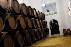 LAGAR BLANCO: A family-run bodega which offers tours and wine tasting events for their pale white wines at a very affordable price