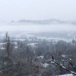 ronda snow IMG  e