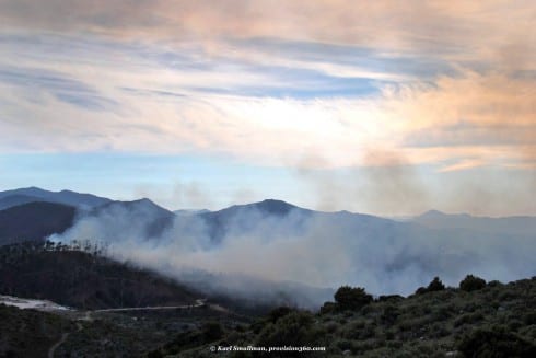 Emergency services declare Igualeja forest fire 'stabilised'. Photograph: Karl Smallman