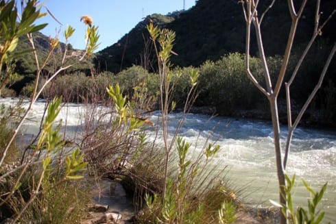 rio guadiaro    IMG