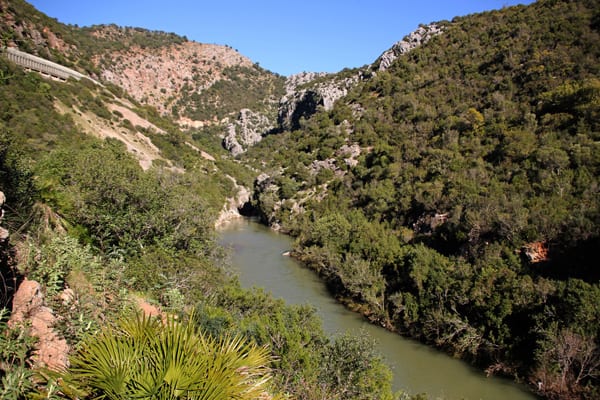 rio guadiaro    IMG