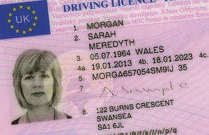 Guide to EU driving licences - Olive Press News Spain