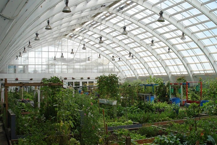 heatstroke greenhouse e