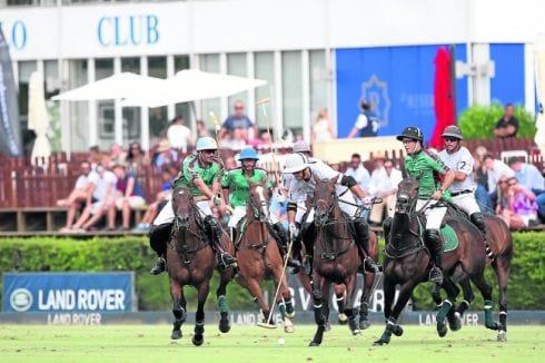 world number one polo spread e