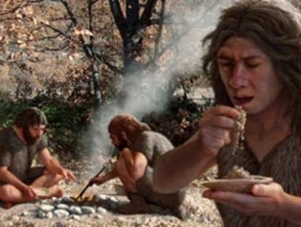 neanderthals cooked food e