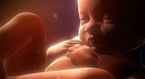 BOOGIE BABY: Singing foetus