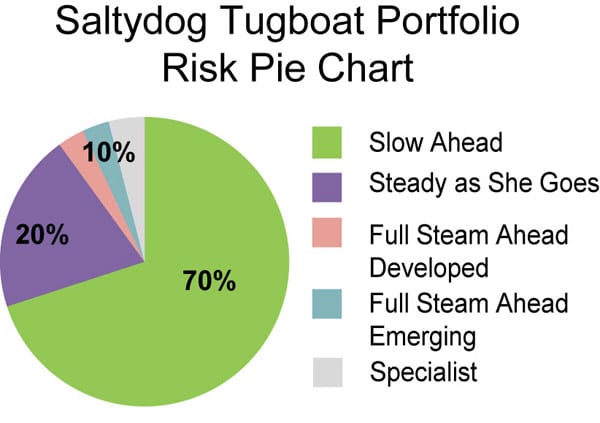 salty dog Risk Pie Chart