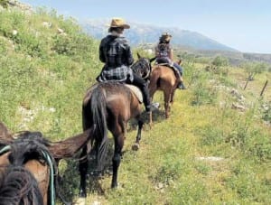 Horse-riding