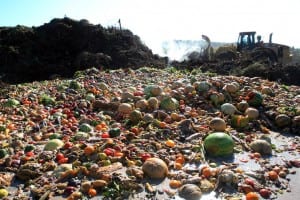 composting-waste-site