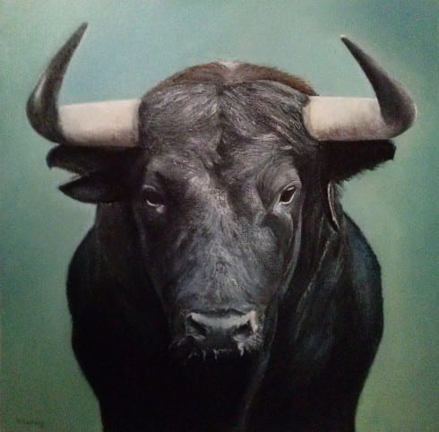 Bull