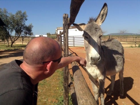 donkey Alan Parks at El Refugio del Burrito