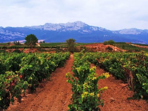 Bodegas rioja